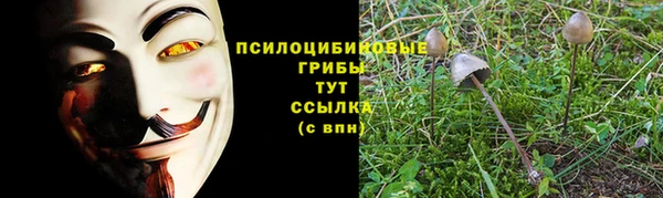 прущая мука Бородино